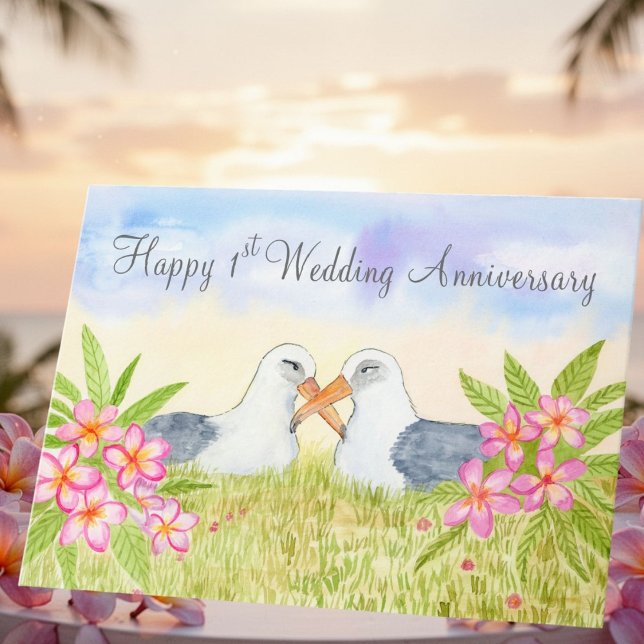 Happy 1st Wedding Anniversary  Laysan Albatross Card (Creator Uploaded)