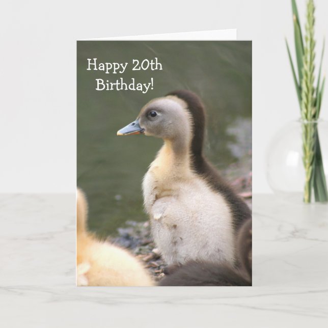 Happy 20th Birthday Duckling greeting card (Front)