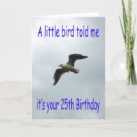 Happy 25th Birthday Flying Seagull bird