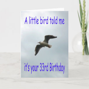 Happy 33rd Birthday Flying Seagull bird Card