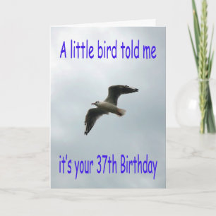 Happy 37th Birthday Flying Seagull bird Card