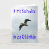 Happy 40th Birthday Flying Seagull bird