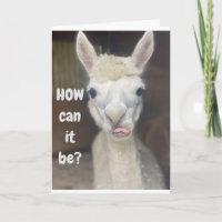 "HAPPY 40th  BIRTHDAY" from WIDE EYED LLAMA