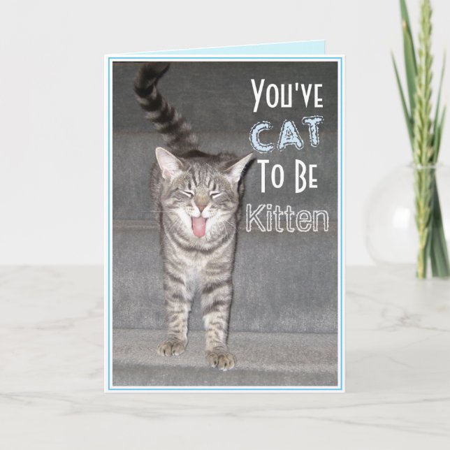 Happy 40th Birthday Funny Cat Card (Front)