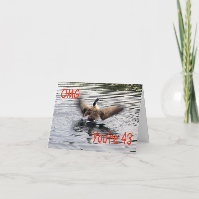 Happy 43rd Birthday Goose flapping Card (Front)