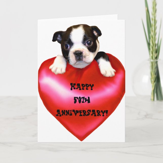 Happy 50th Anniversary Boston Terrier Card (Front)
