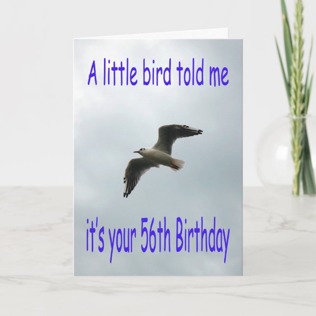 Happy 56th Birthday Flying Seagull bird Card (Front)