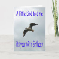 Happy 67th Birthday Flying Seagull bird