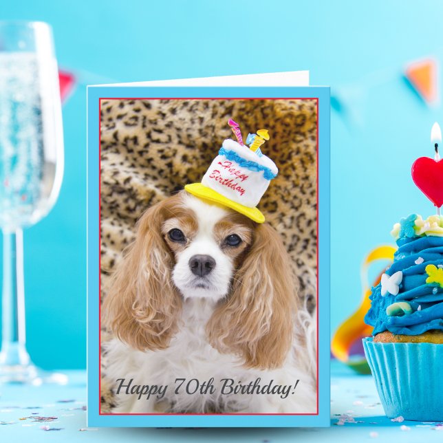 Happy 70th Birthday Cavalier King Charles Birthday Card (Creator Uploaded)