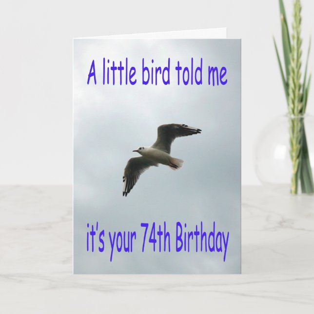 Happy 74th Birthday Flying Seagull bird Card (Front)