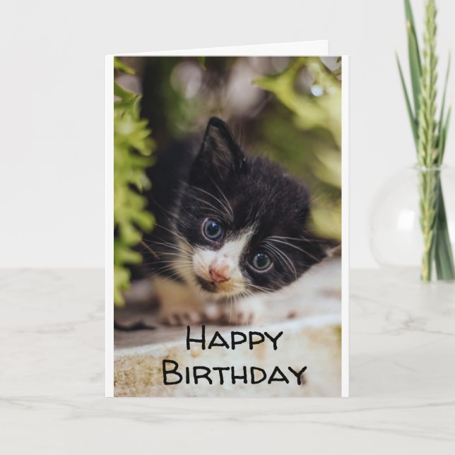 **HAPPY 7th BIRTHDAY FROM KITTY**  Card (Front)