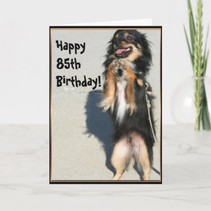 Happy 85th birthday Chihuahua greeting card