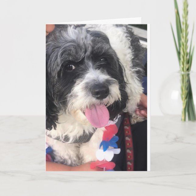 **HAPPY 8th BIRTHDAY**  Card (Front)