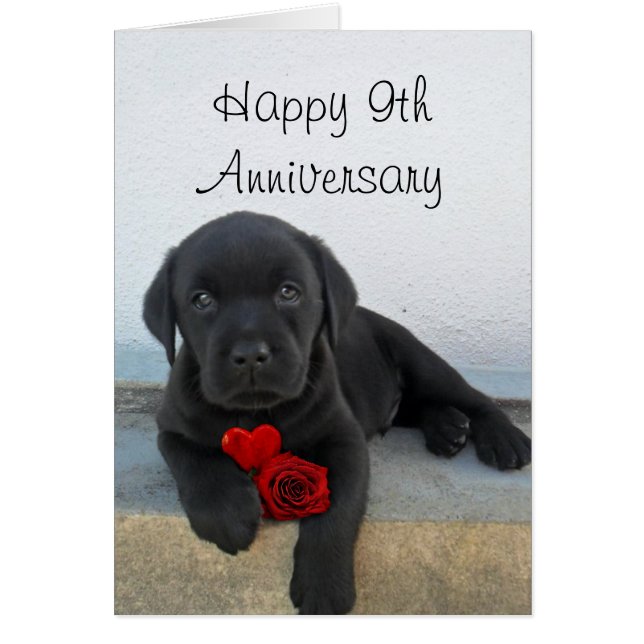 Happy 9th Anniversary Labrador puppy greeting card (Front)
