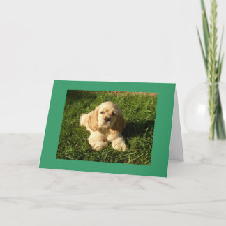 HAPPY ABOUT YOUR NEW "SON" CARD