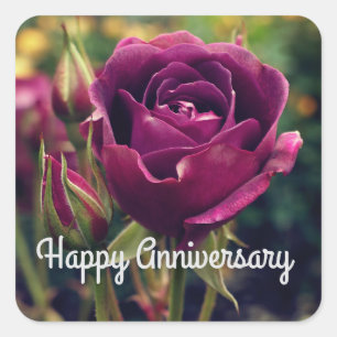 Happy Anniversary Burgundy Iceberg Rose #1 Sticker