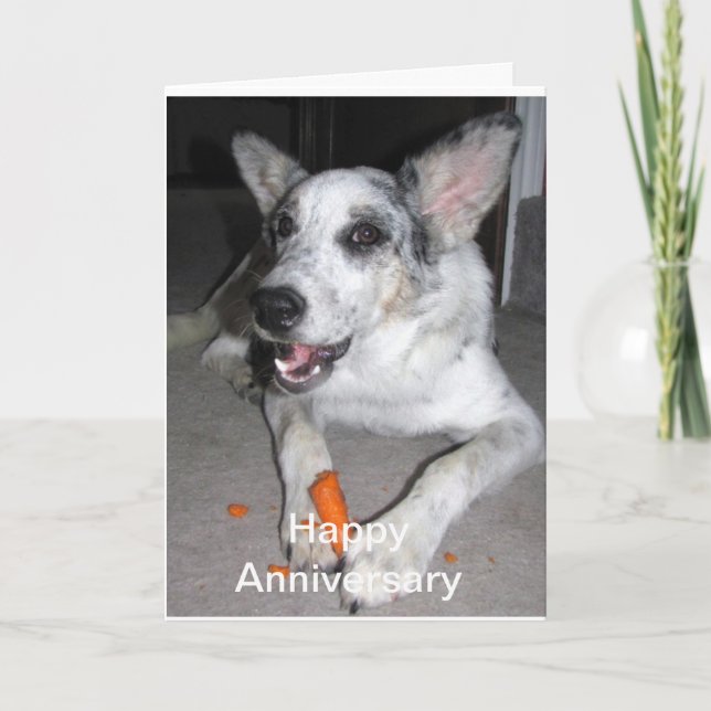 Happy Anniversary Carrot 'bout Card (Front)