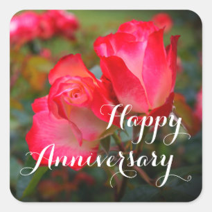 Happy Anniversary Cherry Parfait Rose #4-3 Square  Sticker