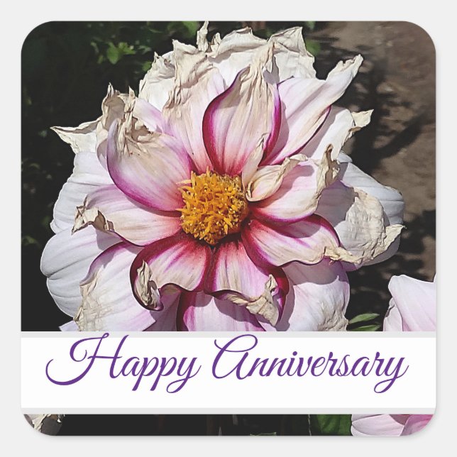 Happy Anniversary Dahlia Edge of Joy #1 Stickers (Front)