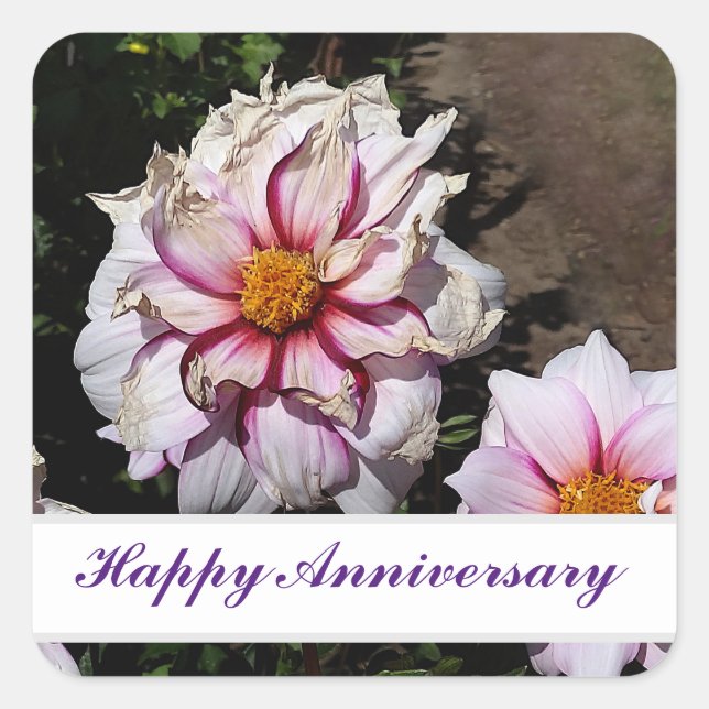Happy Anniversary Dahlia Edge of Joy #1 Stickers (Front)