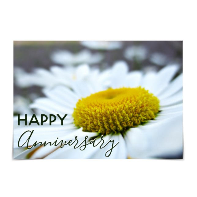 "Happy Anniversary" Daisies Card (Creator Uploaded)