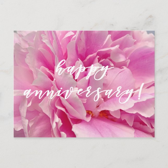 Happy Anniversary! Elegant Pink Peonies Postcard (Front)