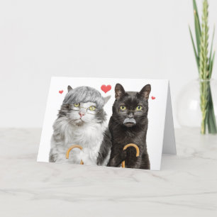 Happy Anniversary Funny Old Cat Couple Holiday Card