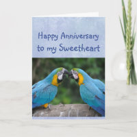 Happy Anniversary Parrot Sweetheart Love