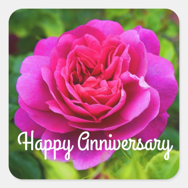 Happy Anniversary Princess Anne Rose #1 Stickers (Front)