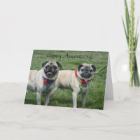 Happy Anniversary Pug Greeting Card