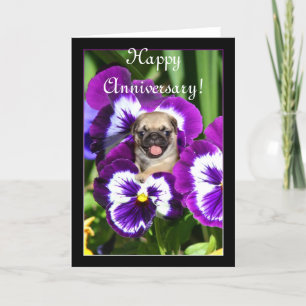 Happy Anniversary Pug in pansies card
