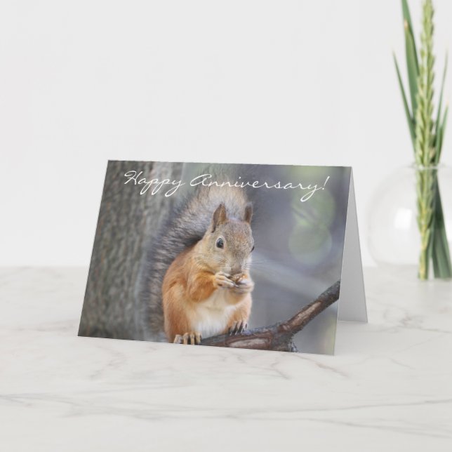 Happy Anniversary Red Squirrel greeting card (Front)