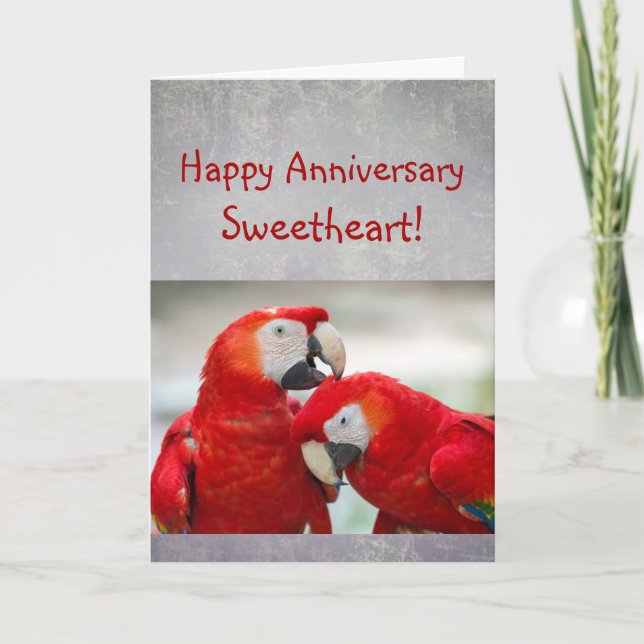 Happy Anniversary Sweetheart Parrot Couple Love Card (Front)
