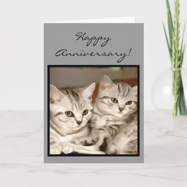 Happy Anniversary Tabby Kittens greeting card (Front)