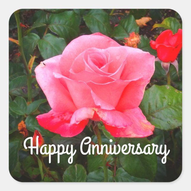 Happy Anniversary Touch of Class Rose #1 Stickers (Front)