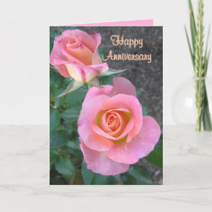 Happy Anniversary/two pink roses/anniversary card