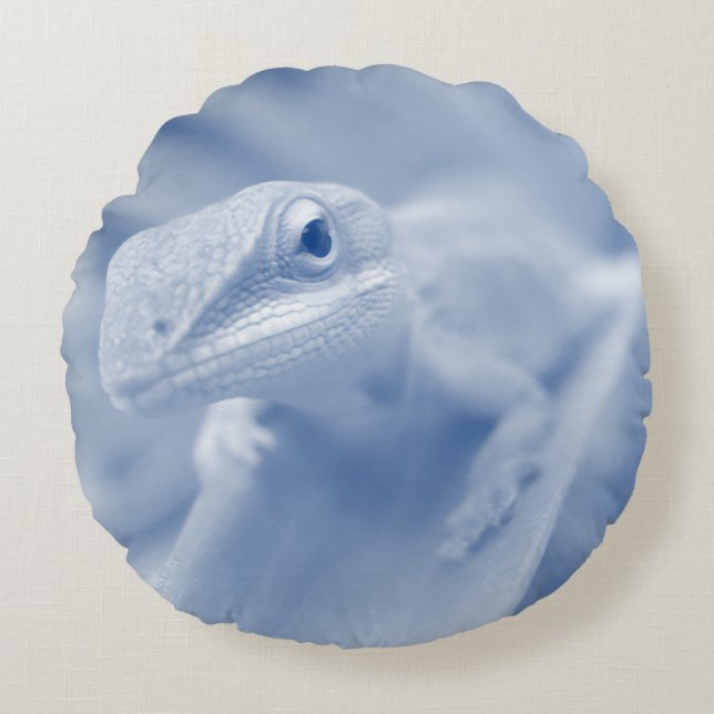 Happy Anole Round Cushion (Front)