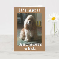 HAPPY *APRIL* BIRTHDAY FROM CUTE COCKER SPANIEL