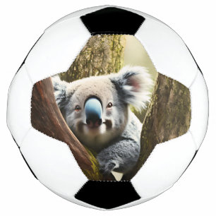 Happy Australian Koala In Tree, Soccer Ball