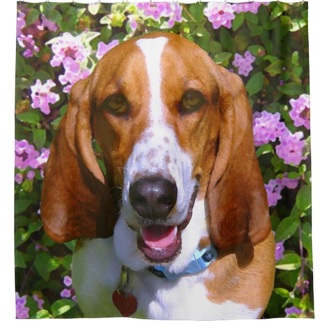 Happy Basset Hound Shower Curtain (Front)