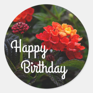 Happy Bday Orange Red Trailing Lantana #1-2 Classic Round Sticker