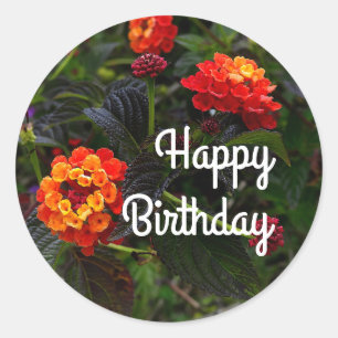 Happy Bday Orange Red Trailing Lantana #1 Stickers