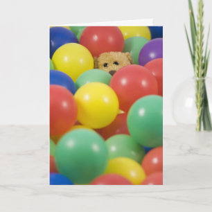 Happy Bear Day - Birthday Card