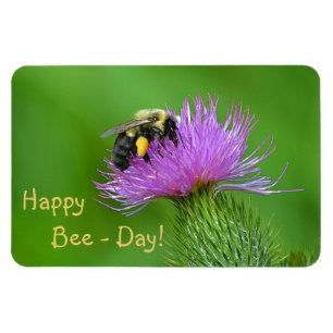 Happy Bee-Day Magnet