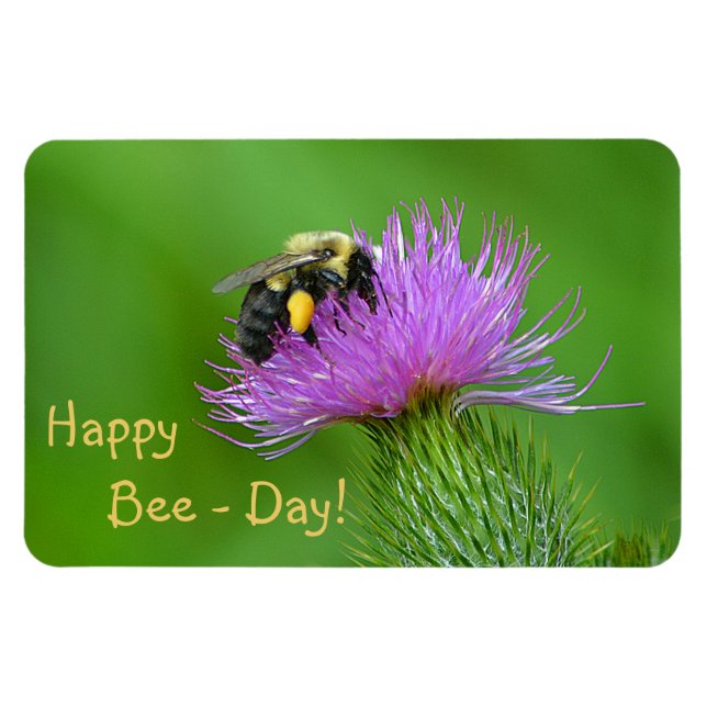 Happy Bee-Day Magnet (Horizontal)