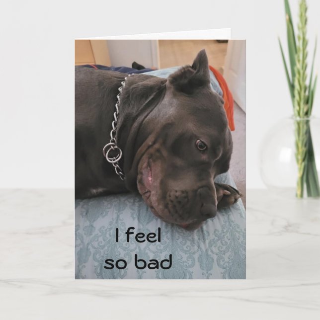 HAPPY BELATED BIRTHDAY - FEEL SO GUILTY  CARD (Front)