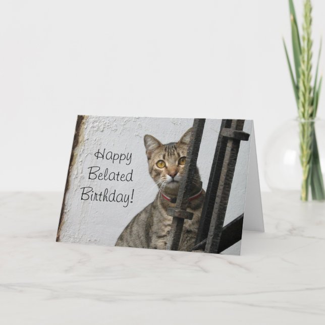 Happy Belated birthday tabby cat greeting card (Front)