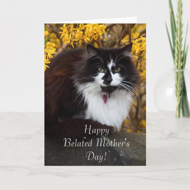 Happy Belated Mother's Day Cat greeting card (Front)