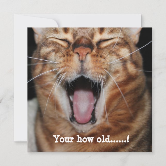 Happy Bengal Cat Birthday Card "Your how old....." (Front)