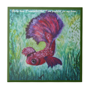 Happy betta fish enjoying his home tile
